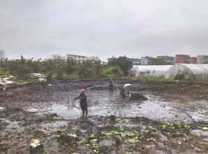 临河河道鱼塘清淤
